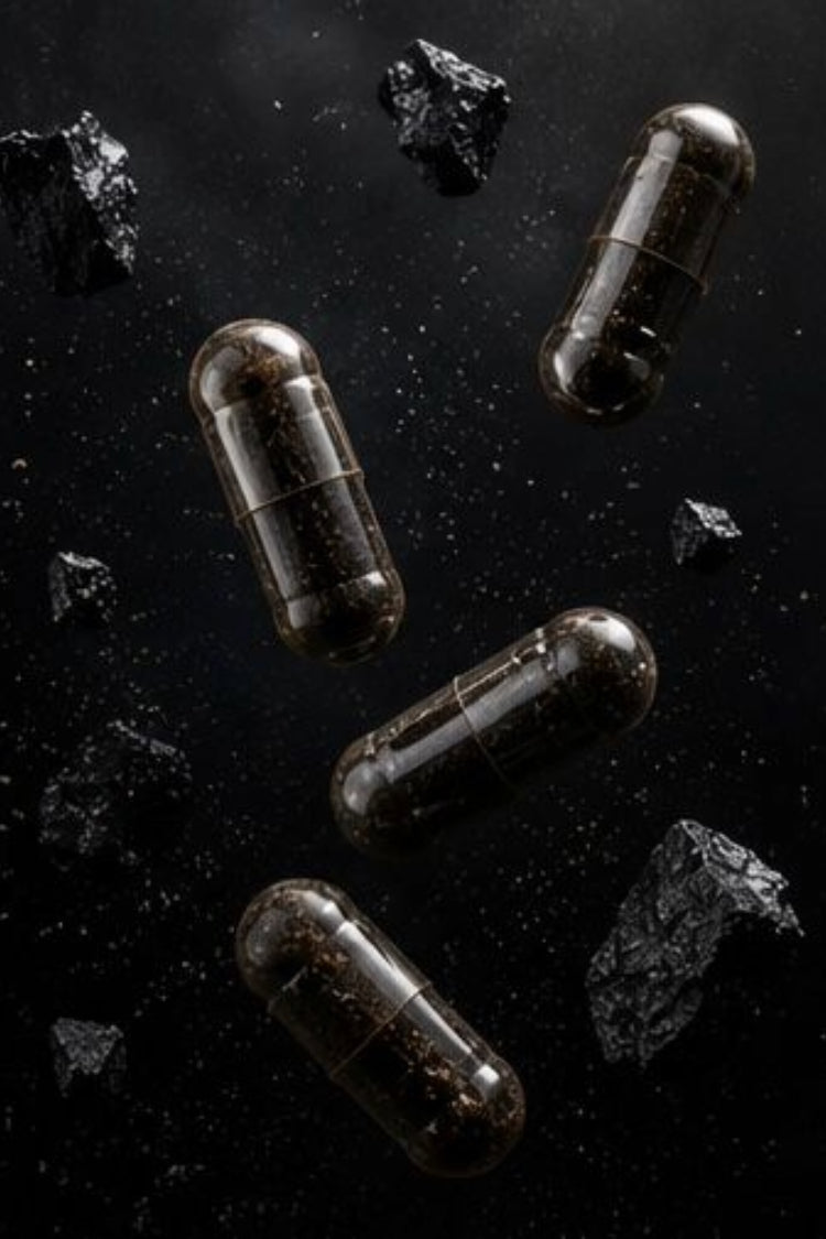 SHILAJIT PUR EN GÉLULES BIO 50 % ACIDE FULVIQUE